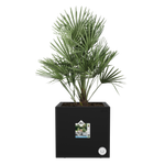 vivo next vierkant 40cm living black